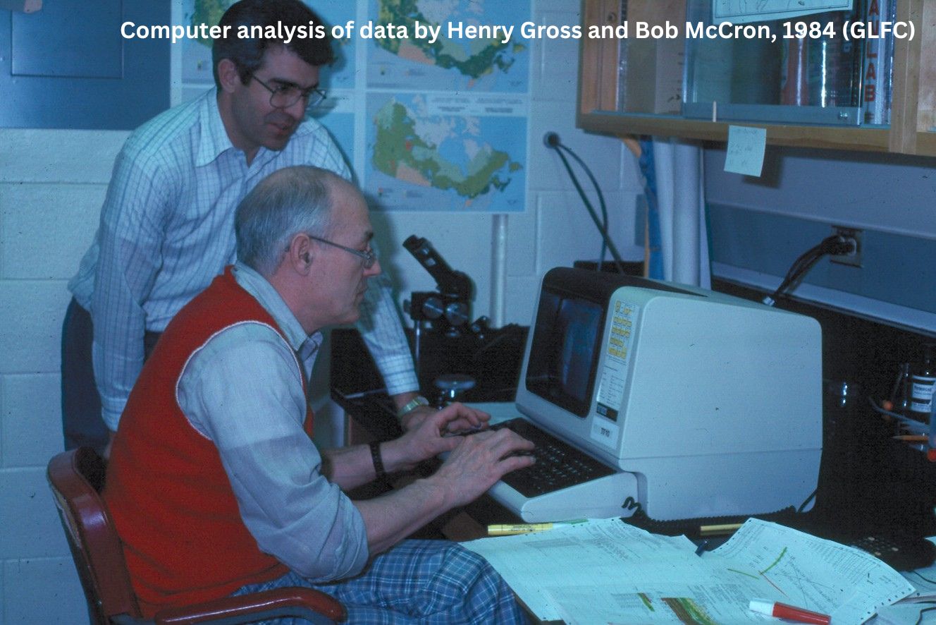 Computer analysis 1984