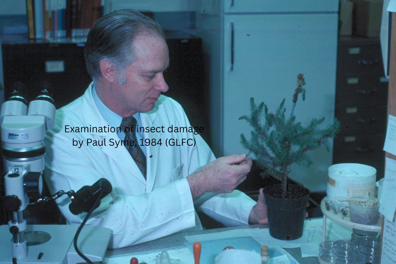 Exam insect damage 1984