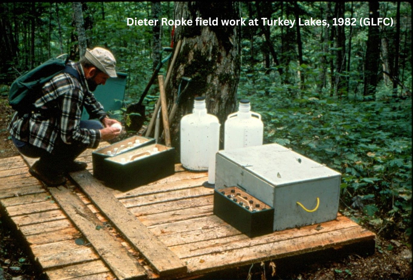 Field work, Turkey Lakes, 1982