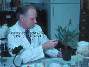 Exam insect damage 1984