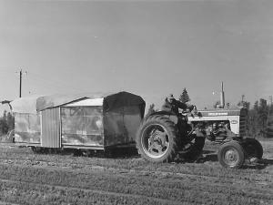 Tree Nursery 1961