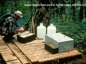 Field work, Turkey Lakes, 1982