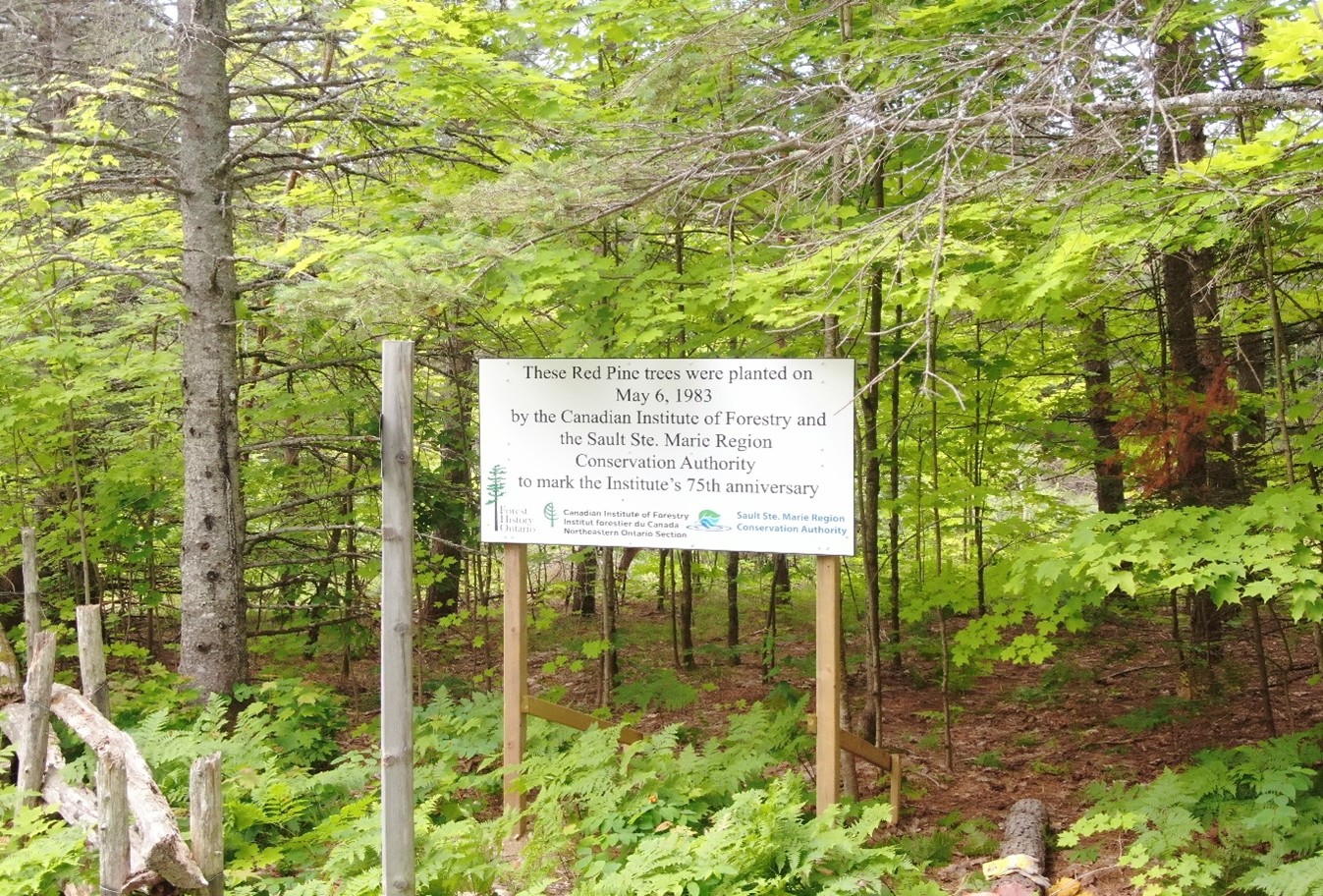 30th Sault Ste Marie Envirothon Hosted at CIF Anniversary  Plantation