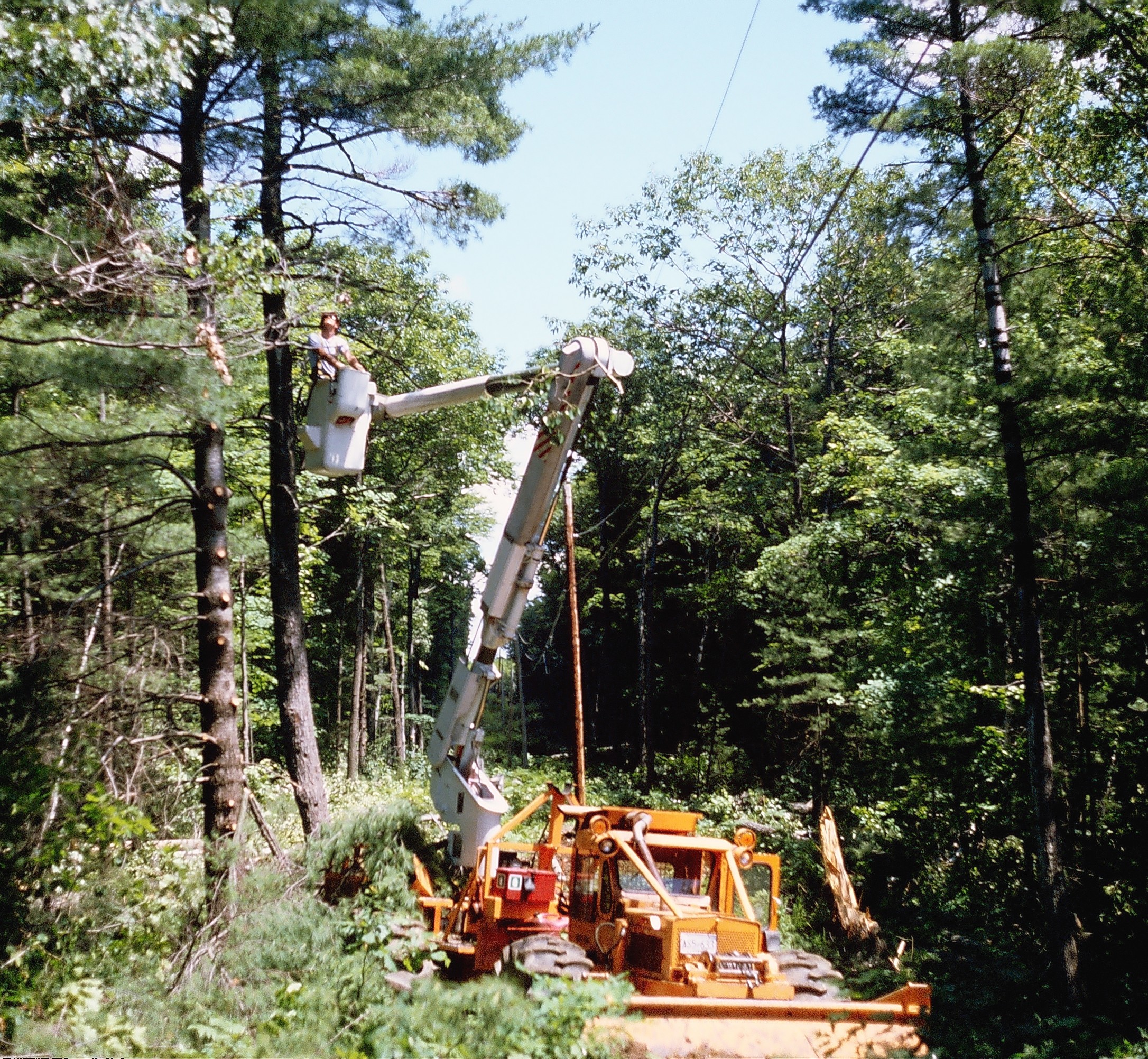 Tree Pruning and Removal with offroad equipment 1985
