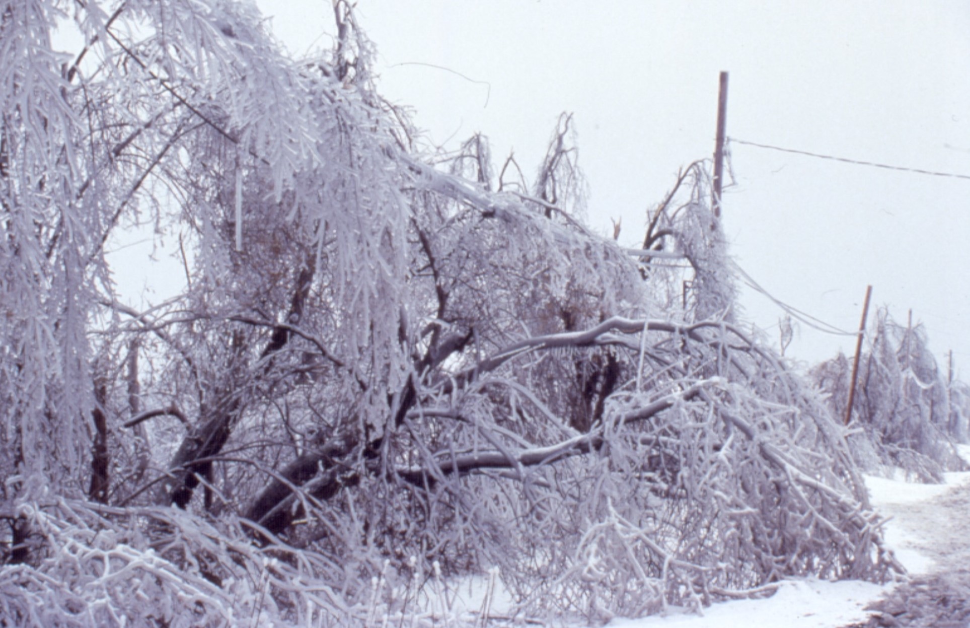 Ice Storm 1998